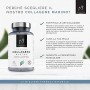 Collagene marino idrolizzato. Collagene con Acido ialuronico + Coenzima Q10 + Vitamina C + Zinco. Energia, pelle sana e articola