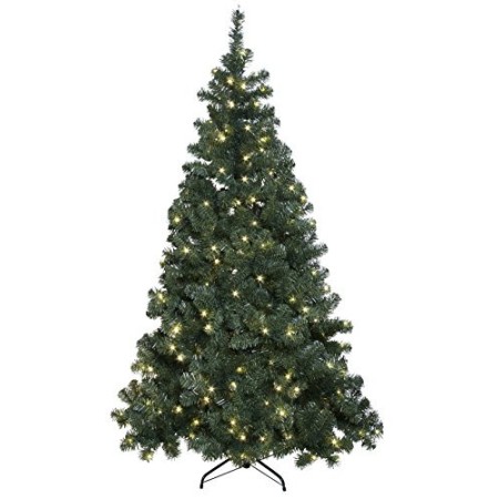 Best Season 609-01 Ottawa - Albero di Natale in Abete, Illuminato LED, per Esterni