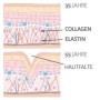 Dr. Schneider Collagene con elastina per resilienza ed elasticità della pelle - noto dalla TV tedesca