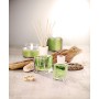 Tescoma 906516 Fancy Home Diffusore di Essenza Mojito, Vetro, Verde, 100 ml, 1 Pezzo