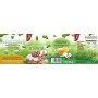 Castelló Since 1907 Dolcificante Stevia + Eritritolo 1:1 - Confezione 2 x 300 g - Total: 600 g