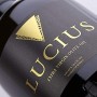 Lucius LUCIUS5000 Olio Extravergine di Oliva – 5 Litri – Olio di Oliva Delicato e Profumato – Monovarietà Koroneiki