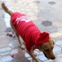 Eastlion Adidog cani caldo felpe con cappuccio Pullover Cappotto Vestiti Animale Domestico cuccioli Maglietta
