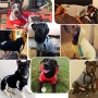 Eastlion Adidog cani caldo felpe con cappuccio Pullover Cappotto Vestiti Animale Domestico cuccioli Maglietta