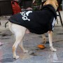 Eastlion Adidog cani caldo felpe con cappuccio Pullover Cappotto Vestiti Animale Domestico cuccioli Maglietta