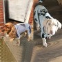 LifeWheel Quattro gambe Cane domestico cappuccio vestiti cappotto Abbigliamento£¬grigio XX-Large
