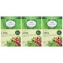 L'Angelica Tisana Solubile Linea - 20 Filtri da 5 gr [100 gr]