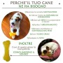 FarmTech Giochi per Cani Piccoli e Medi - Ossa Massaggia Gengive per Alitosi Cane e Pulizia Denti - Made in EU