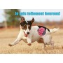 FONPOO Giochi Cane,Corda Cane Resistenti Giochi per Cani Grandi Giochi Cane Cucciolo Set Giochi Cane 10 Pezzi