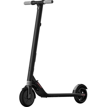Ninebot by Segway ES2 Monopattino Elettrico Pieghevole, Velocità Massima 25km/h, Autonomia 25km, 55 x 27 x 41 cm, Grigio scuro 