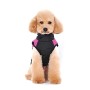 Ectkuee Animale Domestico Cane Vestiti Imbottito Abbigliamento Cappotto Giacca