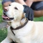 XiDe 2 Pezzi Guanto a Spazzola per Cani Gatti Massaggio e Pulizia Guanto Spazzola Cardatore Animali Elimina Peli Corti e Lunghi 