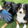 XiDe 2 Pezzi Guanto a Spazzola per Cani Gatti Massaggio e Pulizia Guanto Spazzola Cardatore Animali Elimina Peli Corti e Lunghi 