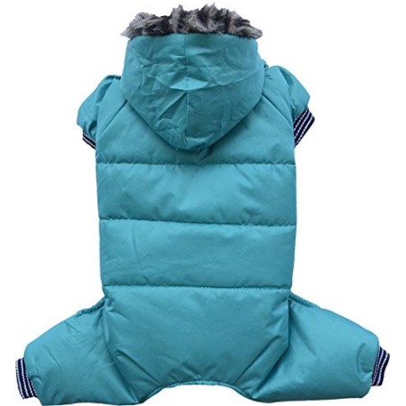 Doggy Dolly, W149, Tuta da Neve per Cane con Cappuccio e Fodera in Pile, Verde, Cappottino Invernale/Giacca Invernale per l’Es