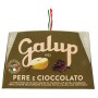 Galup NV16 Panettone Pere e Cioccolato, 750 Gr