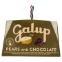 Galup NV16 Panettone Pere e Cioccolato, 750 Gr