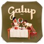 Galup NV16 Panettone Pere e Cioccolato, 750 Gr