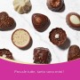 Lindt Mini Praline, XL 180 g