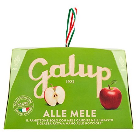 Galup NV06 Panettone Alle Mele, 750 Gr