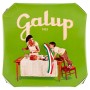 Galup NV06 Panettone Alle Mele, 750 Gr