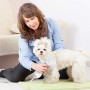 DADYPET Asciugacapelli per Cane, Spazzola per Cani e Gatti, Spazzola e Asciugatrice 2 in 1, Asciugatrice Portatile da Viaggio, v