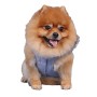 Doggy Dolly W206 - Giacca invernale per cani con cappuccio, taglia XXS