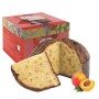 Panettone artigianale con Albicocca Pellecchiella del Vesuvio Presidio Slow Food di Fraccaro Spumadoro, dolce natalizio Made in 