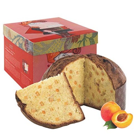 Panettone artigianale con Albicocca Pellecchiella del Vesuvio Presidio Slow Food di Fraccaro Spumadoro, dolce natalizio Made in 
