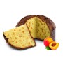 Panettone artigianale con Albicocca Pellecchiella del Vesuvio Presidio Slow Food di Fraccaro Spumadoro, dolce natalizio Made in 