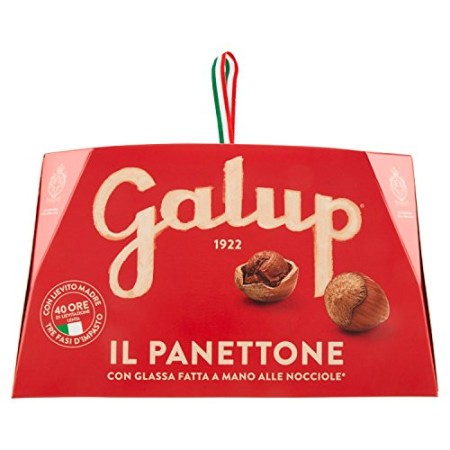 Galup NV03 Panettone Classico, 1000 Gr