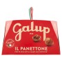 Galup NV03 Panettone Classico, 1000 Gr