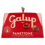 Galup NV03 Panettone Classico, 1000 Gr
