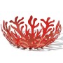 Alessi Mediterraneo ESI01/29 Fruttiera di Design in Acciaio Colorato Rosso & AAM32 1 Proust Parrot Cavatappi per Vino di Design,