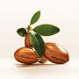 Pantene Pro-V Balsamo 3 Minute Miracle, Lisci Effetto Seta, 150 ml + Maschera 300 ml + Olio Secco 100 ml + Shampoo 225 ml