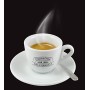 Caffe' Corsini Compagnia dell’Arabica Caffè Capsule Compatibili Nespresso Compostabili, Confezione Mix Monorigini 100% Arabic