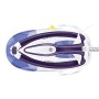 Bosch TDS6080 Stazione Stirante a Vapore, 2400 W, 120 g/min, Pressione vapore: 6 bar, Bianco/Viola