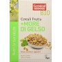 Germinal Bio Cereali Frutta e More di Gelso - 8 confezioni da 250 gr - 2000 gr
