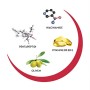Olaz Regenerist 3 Zone Siero Viso Concentrato, Antirughe, con Acido Ialuronico, Niacinamide, Vitamina B5 e Vitamina E, Idrata e 