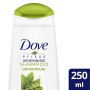 Dove Detox Ritual Shampoo con matcha e latte di riso, confezione da 6 (6 x 200 g)