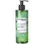 L'Oréal Paris Botanicals Zenzero e Coriandolo Fonte di Forza Shampoo per Capelli Fragili, 400 ml