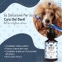 Belly Pulizia Denti del Cane I Spray Dentale per Cani I Cura l’Igiene Orale del Cane e contrasta l’Alito Cattivo I con Menta