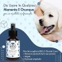 Belly Pulizia Denti del Cane I Spray Dentale per Cani I Cura l’Igiene Orale del Cane e contrasta l’Alito Cattivo I con Menta