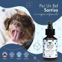 Belly Pulizia Denti del Cane I Spray Dentale per Cani I Cura l’Igiene Orale del Cane e contrasta l’Alito Cattivo I con Menta