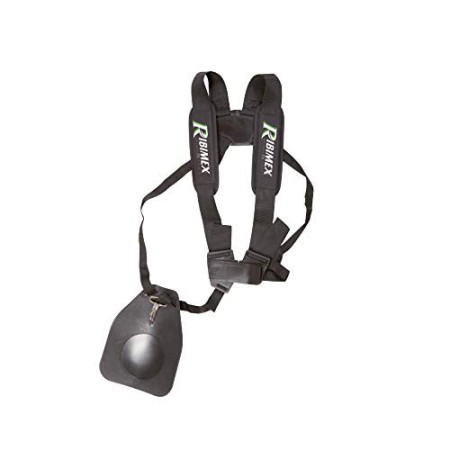 PRDEBT430/IT Decespugliatore a Scoppio 43 Cc