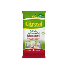 CITROSIL Salviette Igienizzanti Multiuso, Eucalipto + Limone, 40 Panni x 12 Confezioni