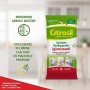 CITROSIL Salviette Igienizzanti Multiuso, Eucalipto + Limone, 40 Panni x 12 Confezioni