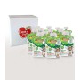 Cuore di Frutta Frullato di Frutta Bio, Mela, Yogurt, Banana, Mirtilli e Miglio - Confezioni da 90G, 12 Unità