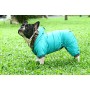 Doggy Dolly, W149, Tuta da Neve per Cane con Cappuccio e Fodera in Pile, Verde, Cappottino Invernale/Giacca Invernale per l’Es