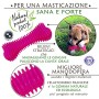 FarmTech Giochi per Cani Piccoli e Medi - Ossa Massaggia Gengive per Alitosi Cane e Pulizia Denti - Made in EU