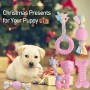 Giocattoli da masticare per cuccioli JYPS, set di giocattoli per dentizione per cani 4 pezzi con in cotone e palla, giocattoli d